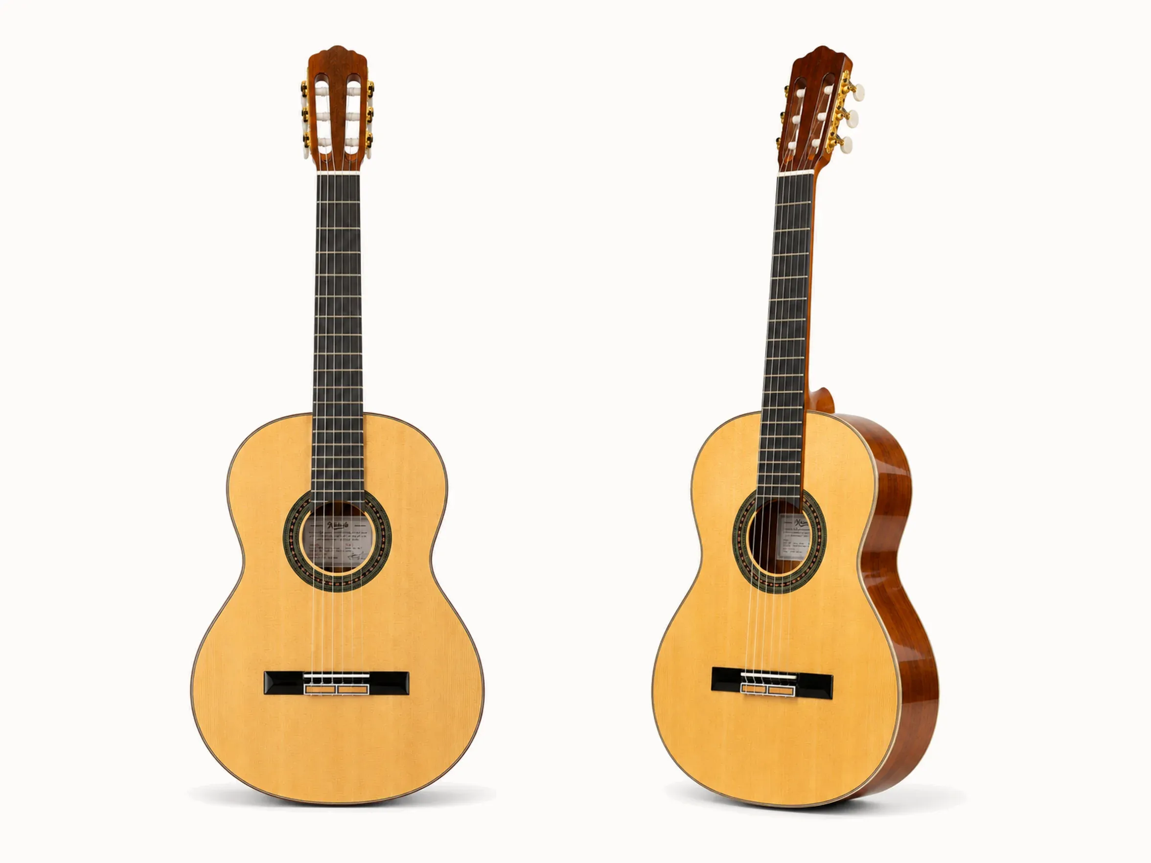 Nashville Maestro SG – overview