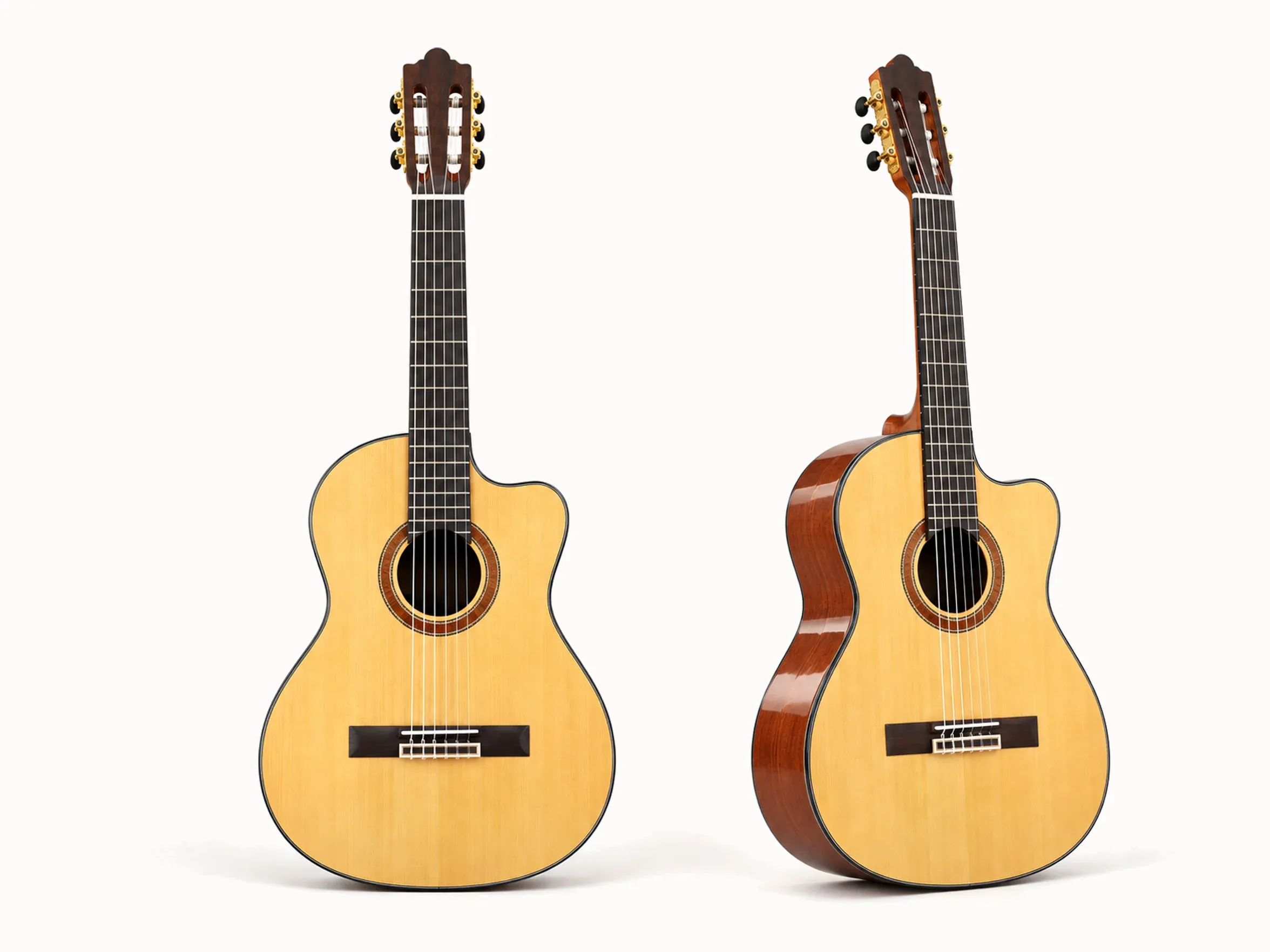 Nashville Alma-SG Cutaway – overview
