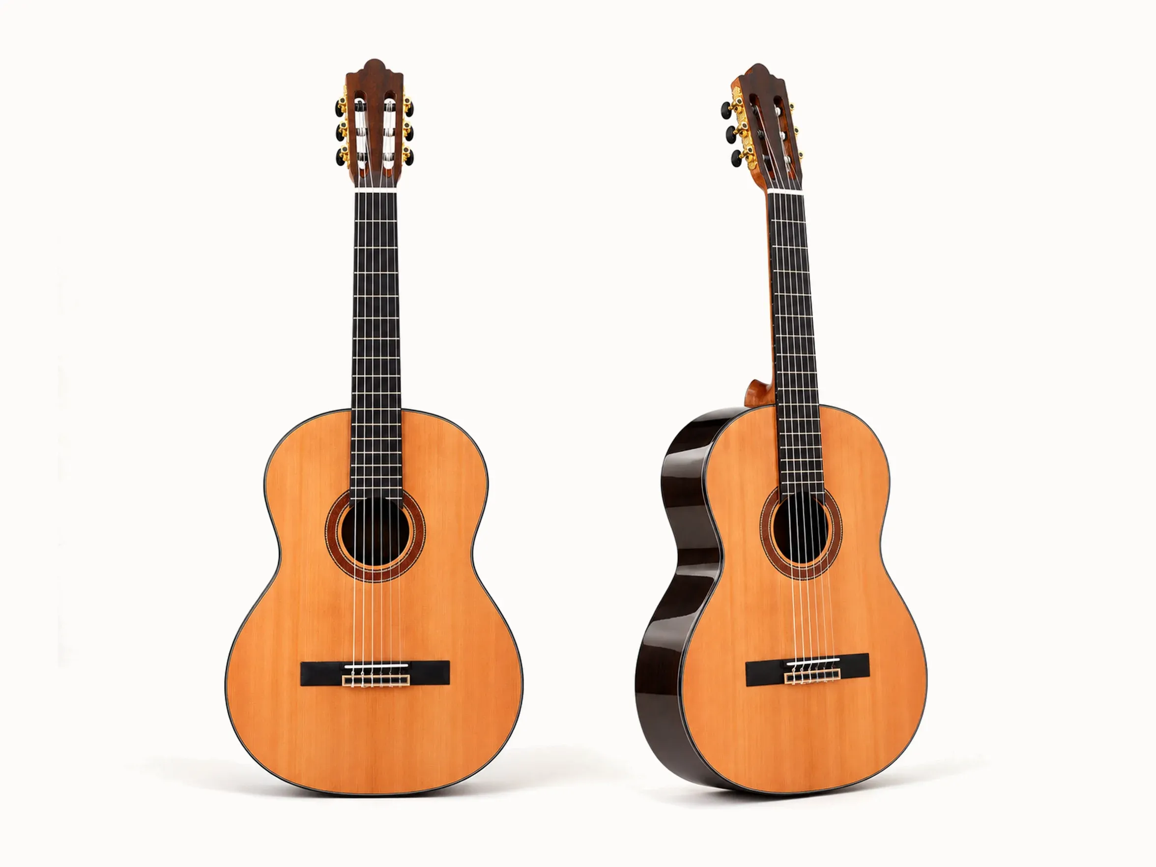 Nashville Luz-SG – overview