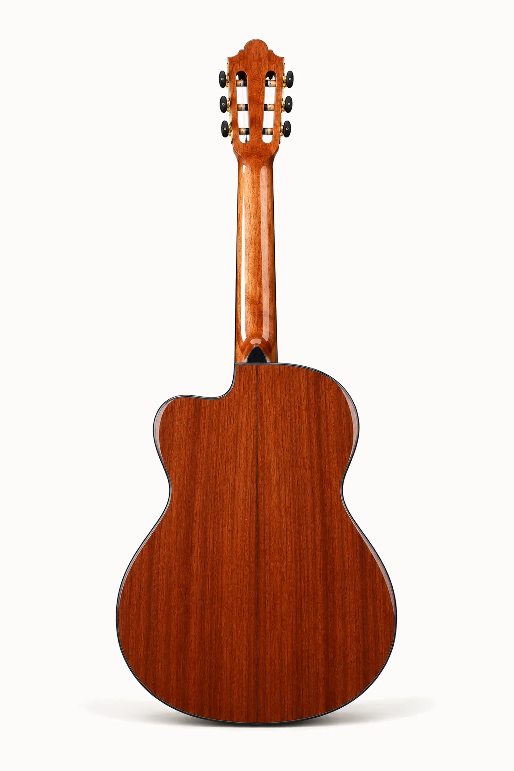 Nashville Alma-SG Cutaway – back view