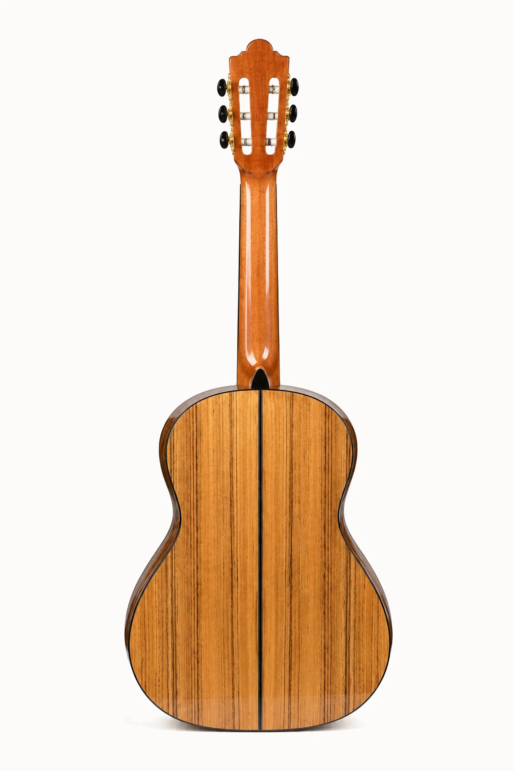 Nashville Avanza-SG 3/4 – back view