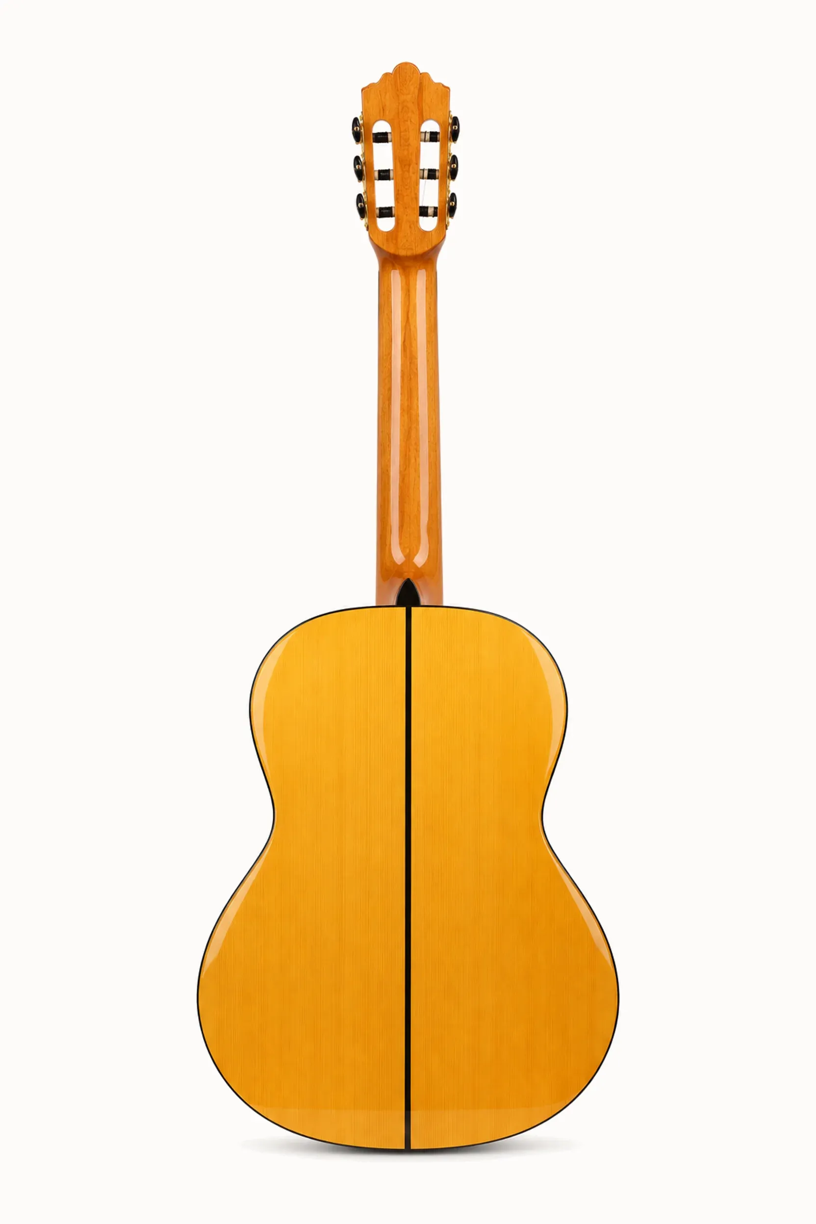 Nashville Solera F-SG – back view