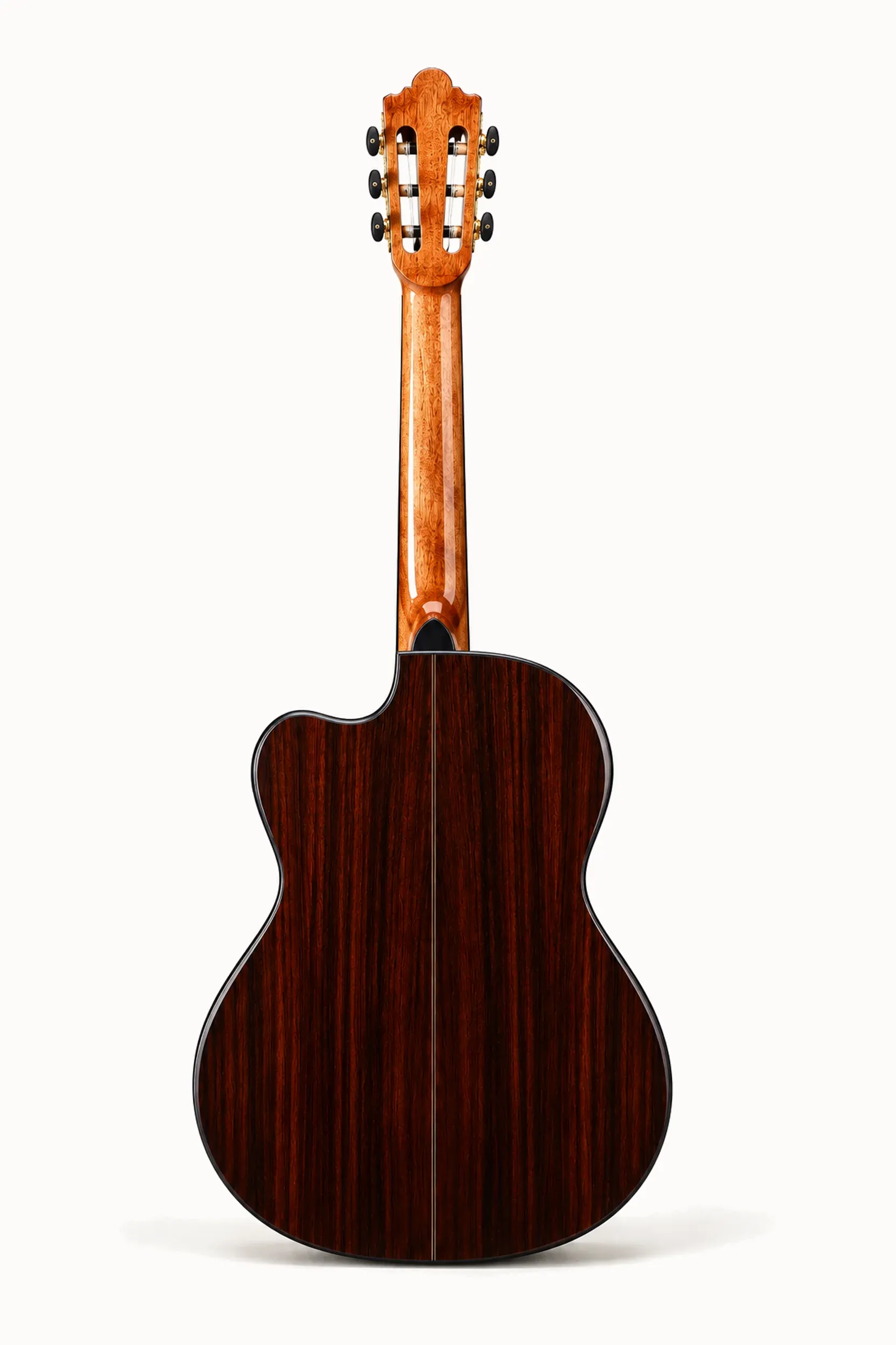 Nashville Sonata-SG Cutaway – back view