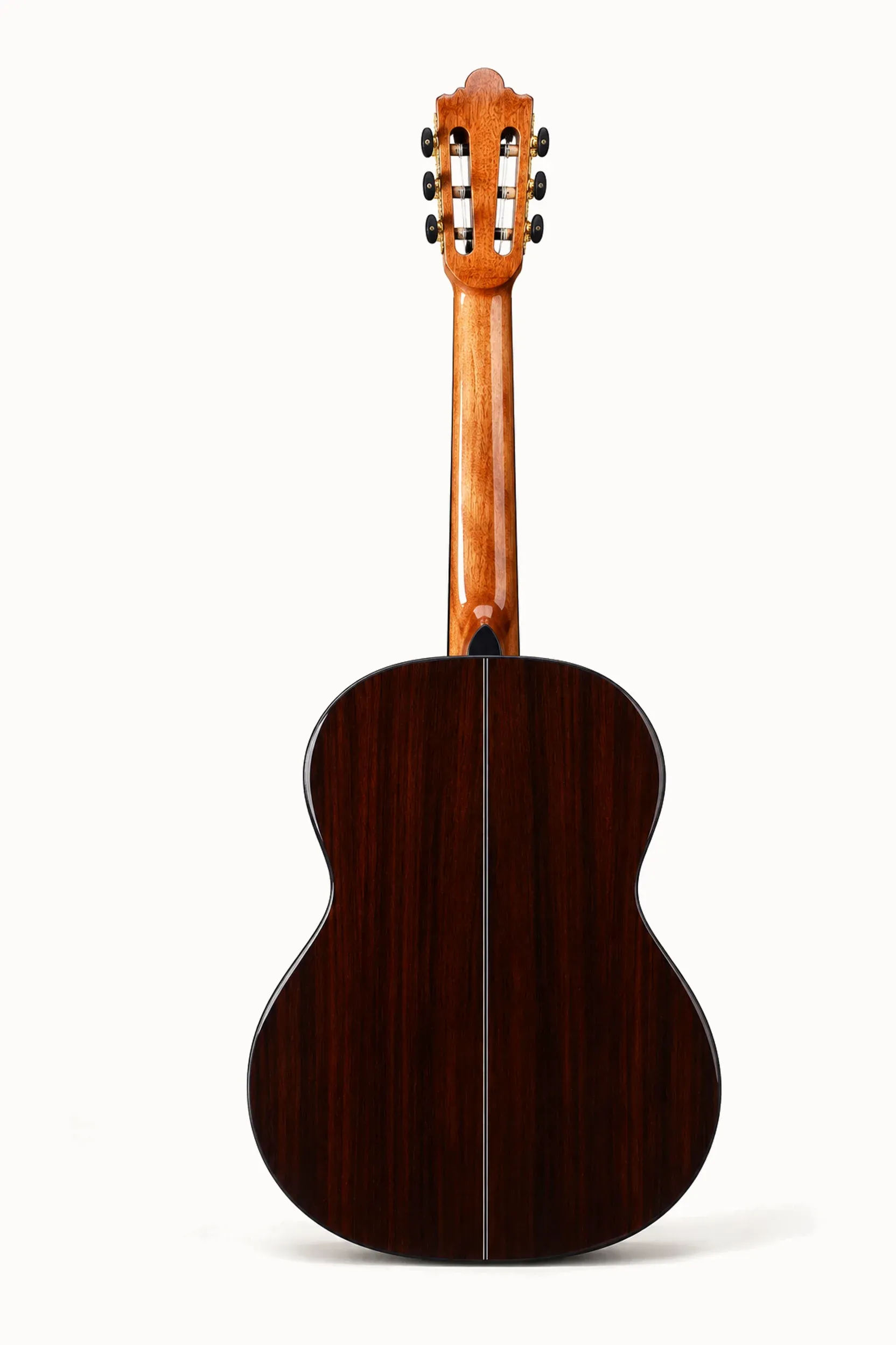 Nashville Luz-SG – back view