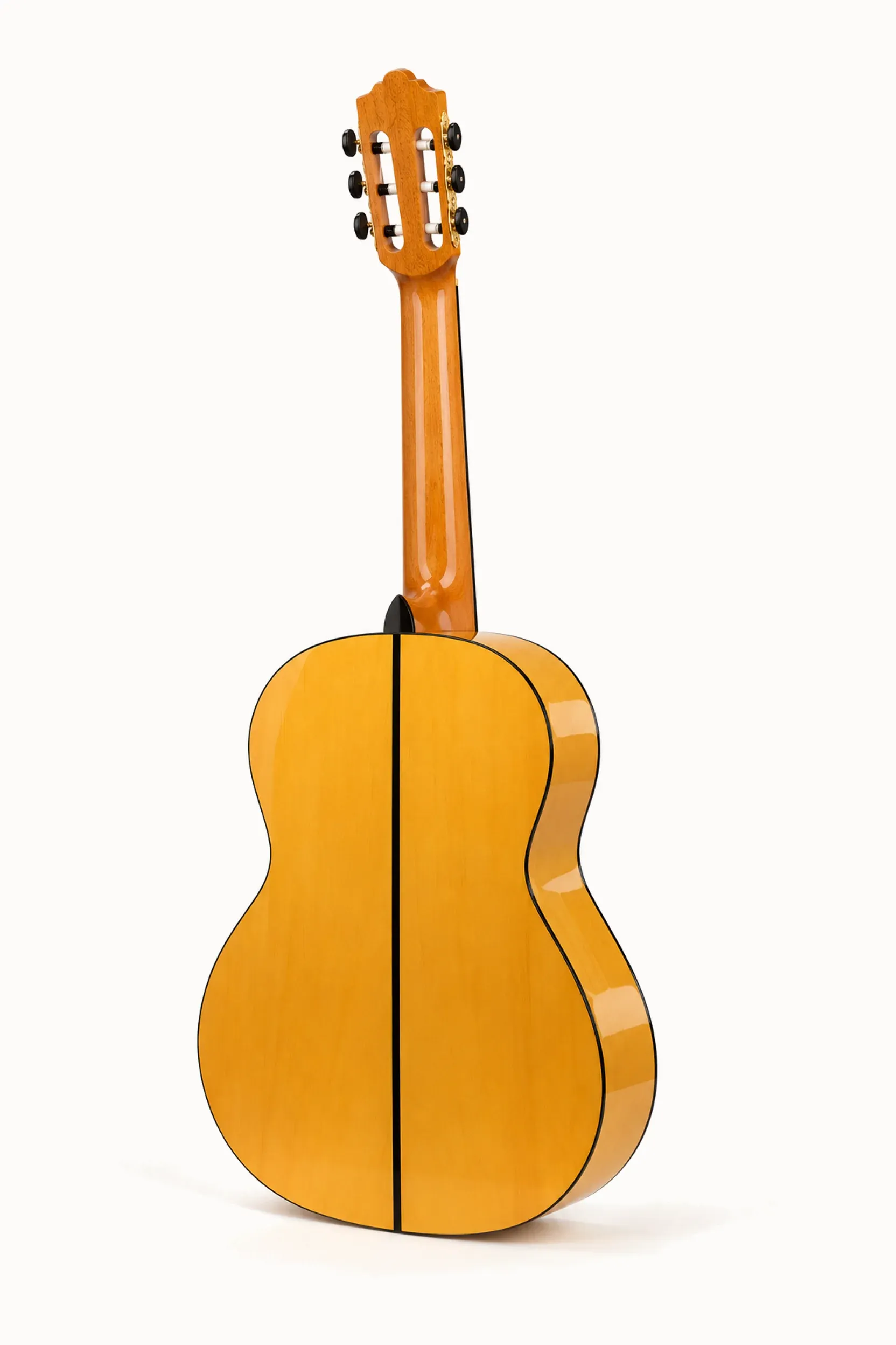 Nashville Solera F-SG – angled back view