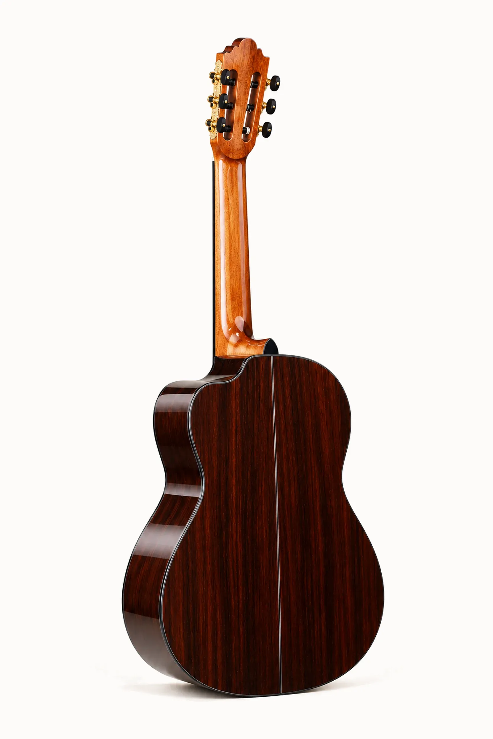Nashville Sonata-SG Cutaway – angled back view