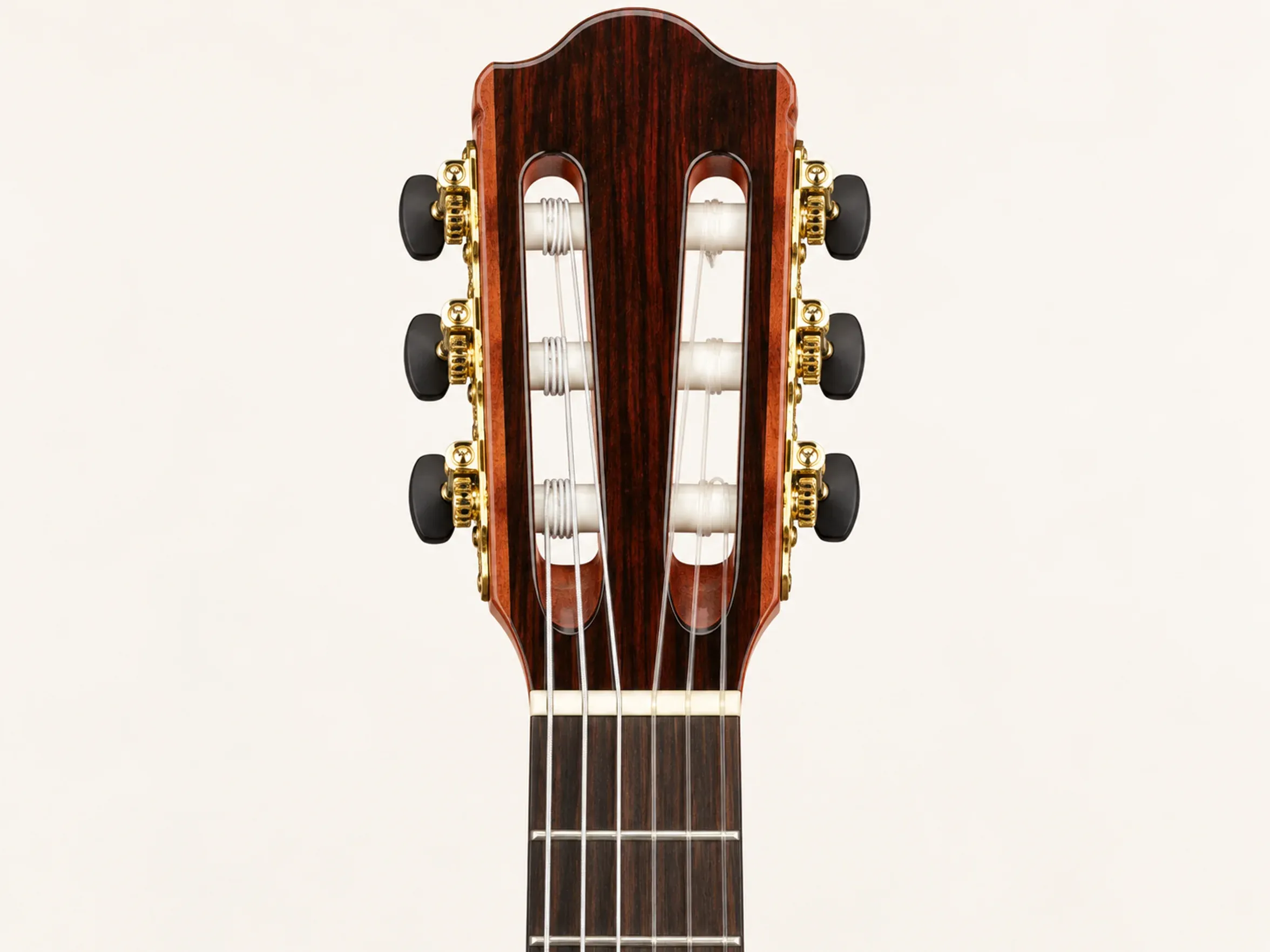 Nashville Alma-SG Cutaway – detail close-up