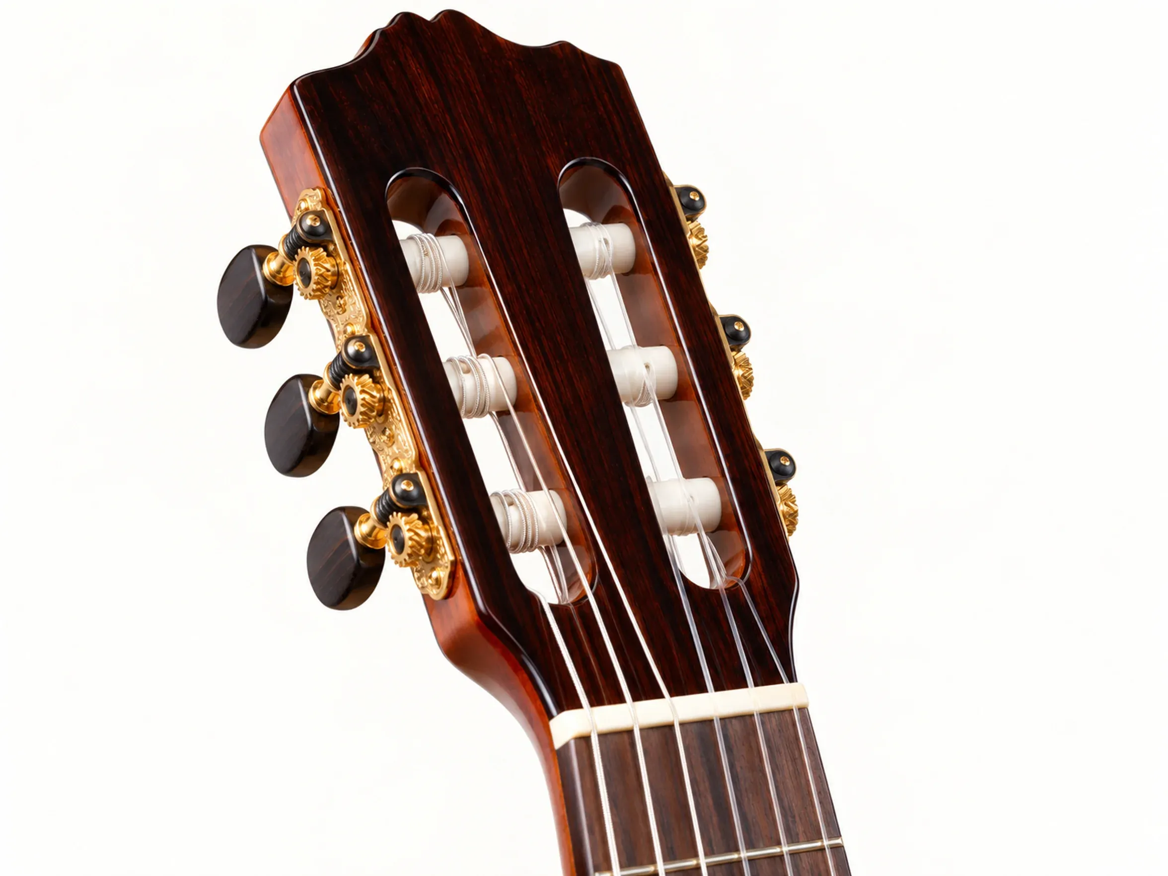 Nashville Encanto-CG – detail close-up