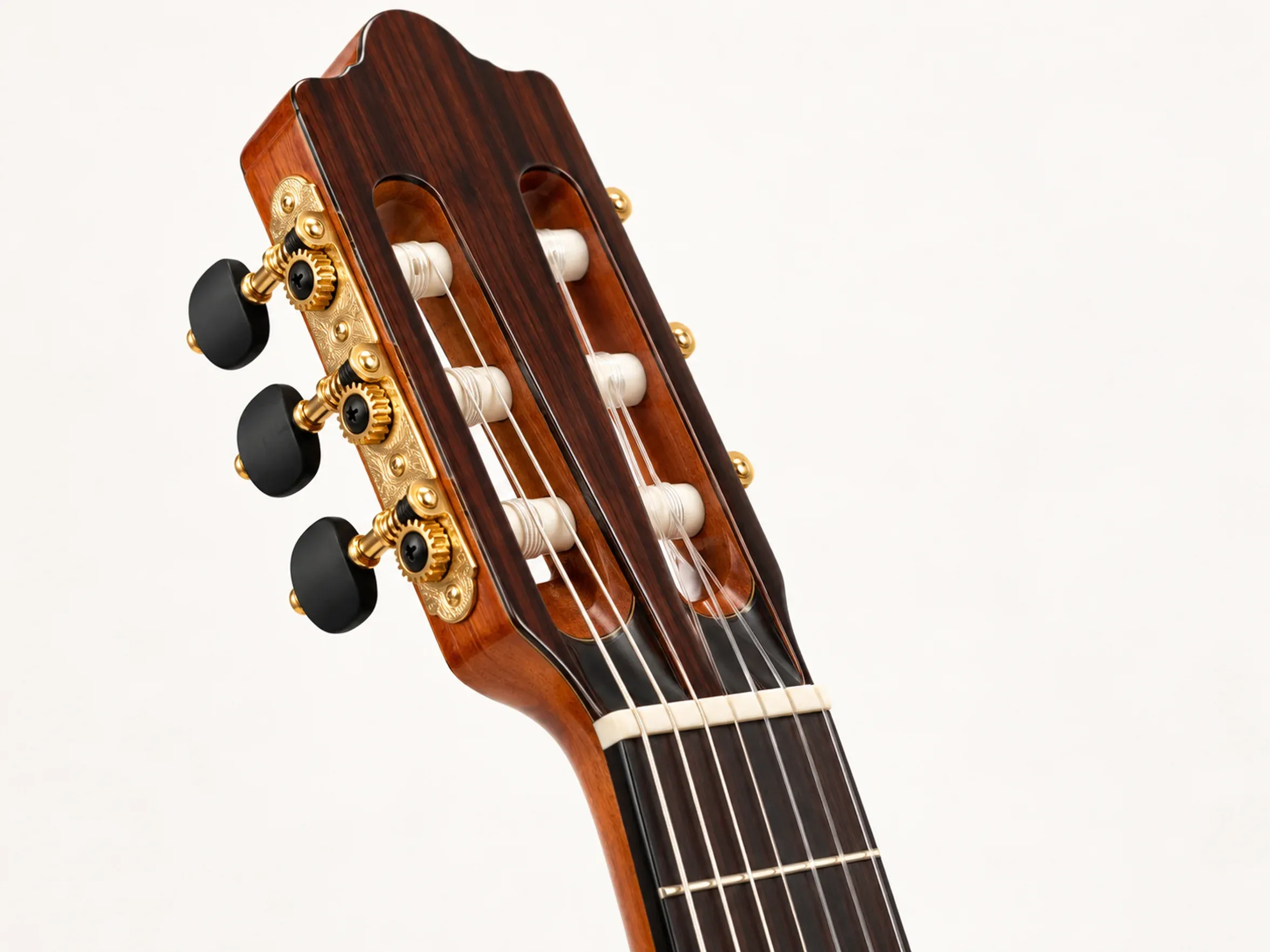 Nashville Sonata-SG Cutaway – detail close-up