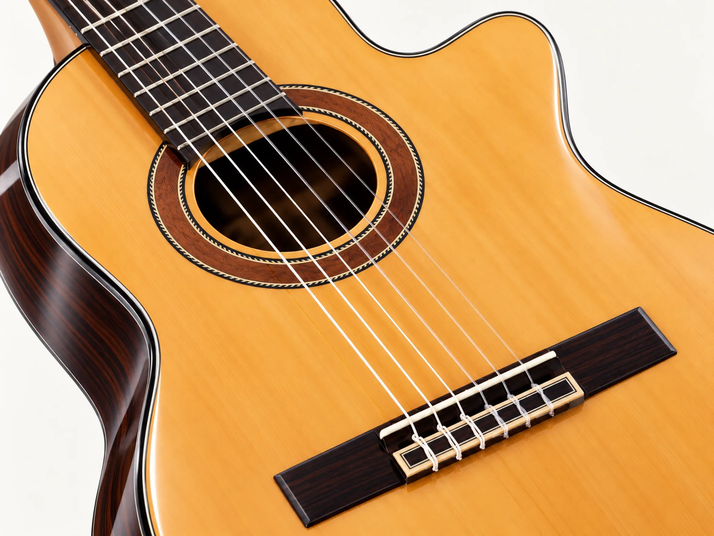 Nashville Sonata-SG Cutaway – second detail close-up